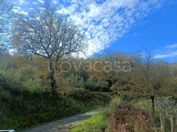 terreno agricolo in vendita a Montepaone