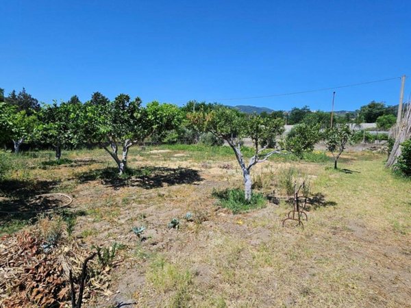 terreno agricolo in vendita a Montepaone in zona Montepaone Lido