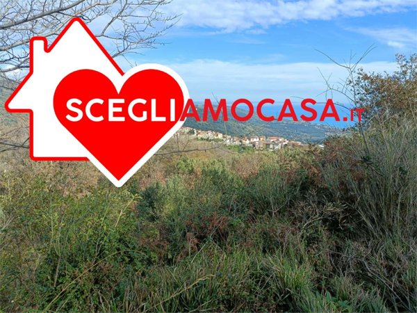 terreno agricolo in vendita a Montepaone