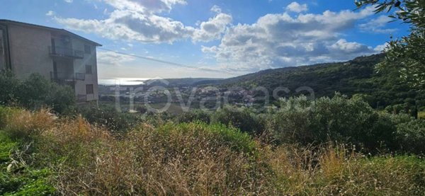 terreno agricolo in vendita a Montepaone