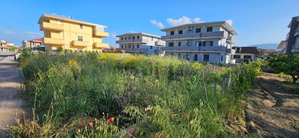 casa indipendente in vendita a Montepaone