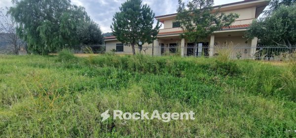 casa indipendente in vendita a Montepaone