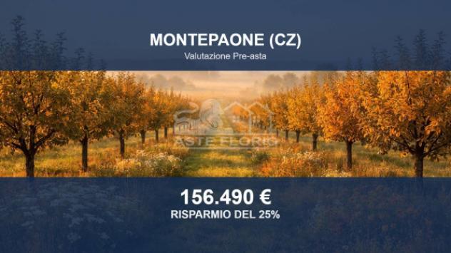 terreno agricolo in vendita a Montepaone