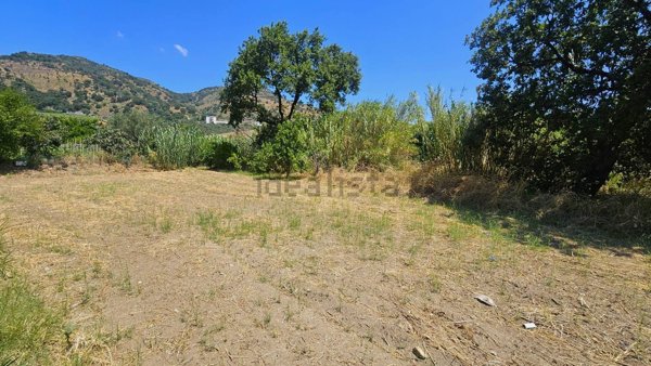 terreno agricolo in vendita a Montepaone