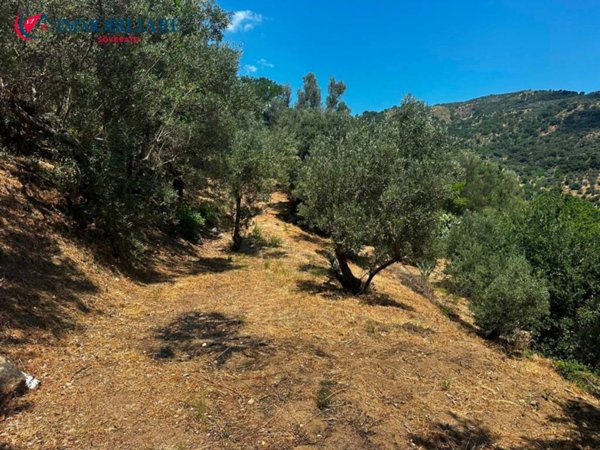 terreno agricolo in vendita a Montepaone