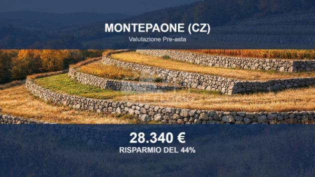 terreno agricolo in vendita a Montepaone