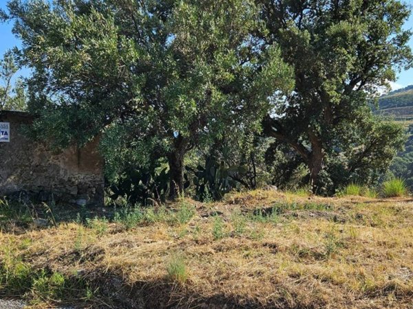 terreno in vendita a Montepaone