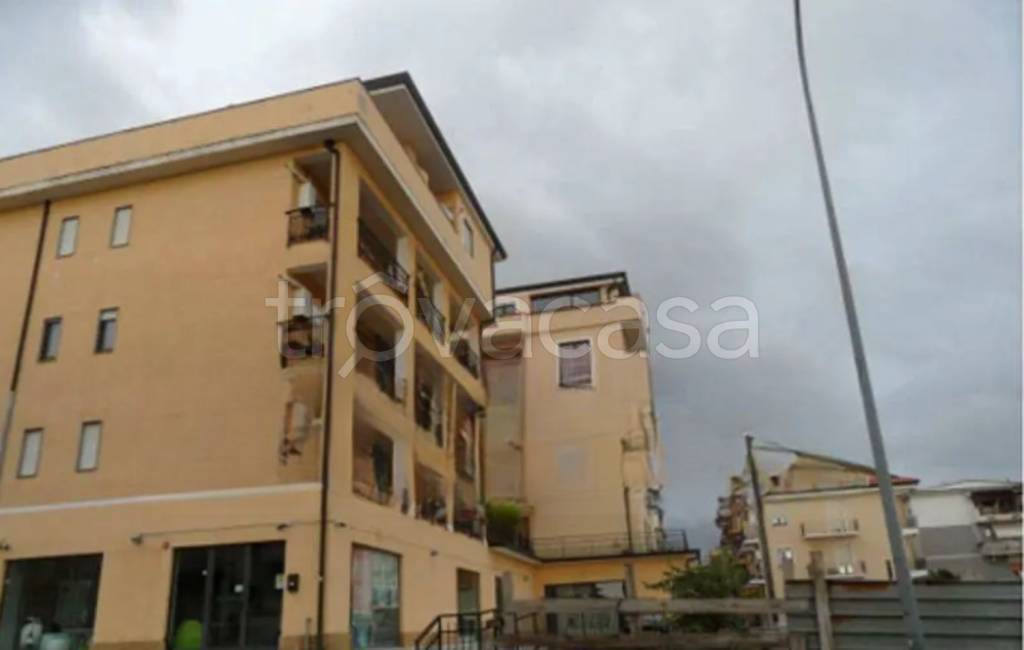 negozio in vendita a Nocera Terinese