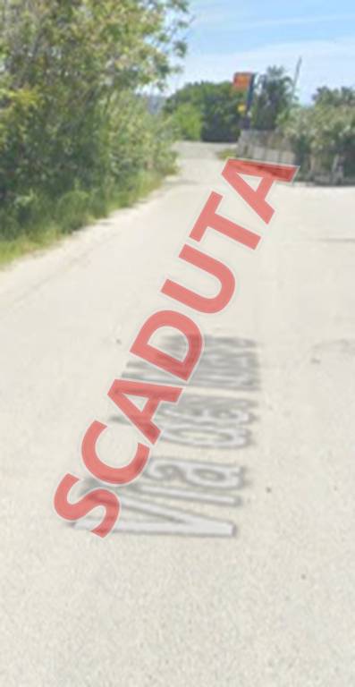 negozio in vendita a Nocera Terinese