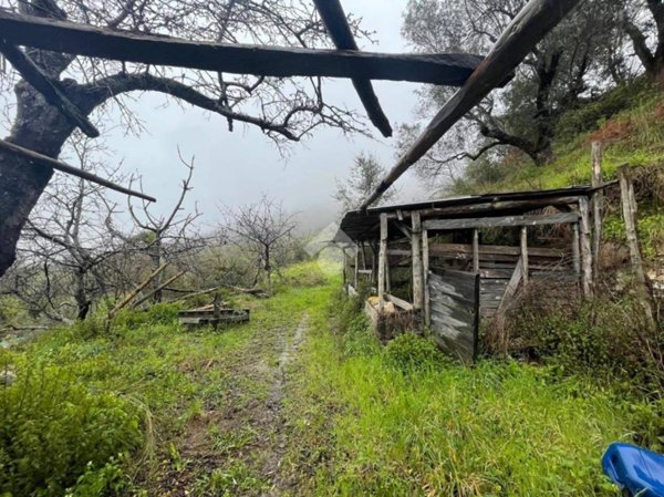 casale in vendita a Nocera Terinese