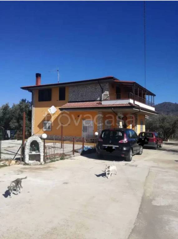 casa indipendente in vendita a Petrizzi