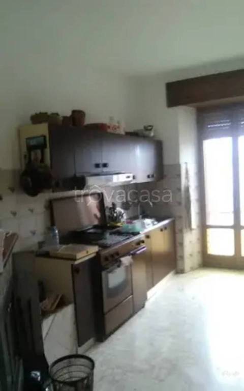 casa indipendente in vendita a Petrizzi