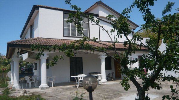 pentavano in vendita a Petrizzi