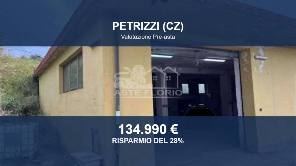 terreno agricolo in vendita a Petrizzi