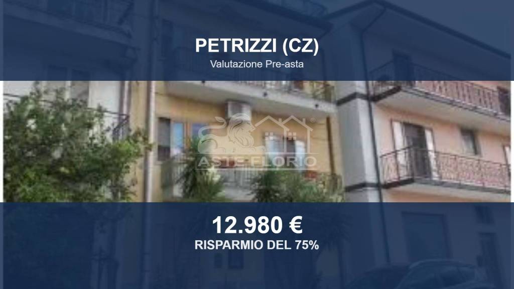 appartamento in vendita a Petrizzi