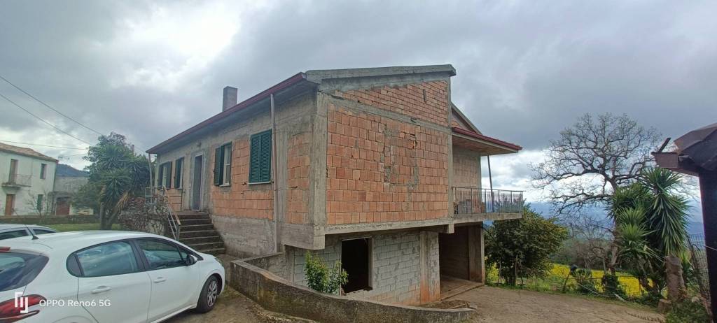 immagine annuncio 0 di 1