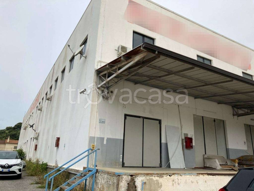 capannone in vendita a Pianopoli