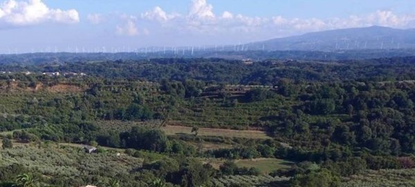 terreno agricolo in vendita a Pianopoli