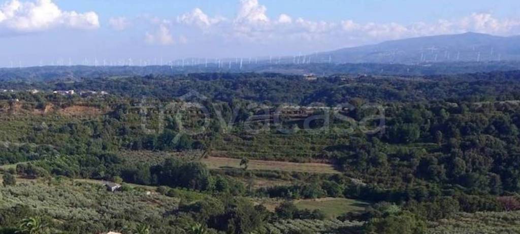 terreno edificabile in vendita a Pianopoli