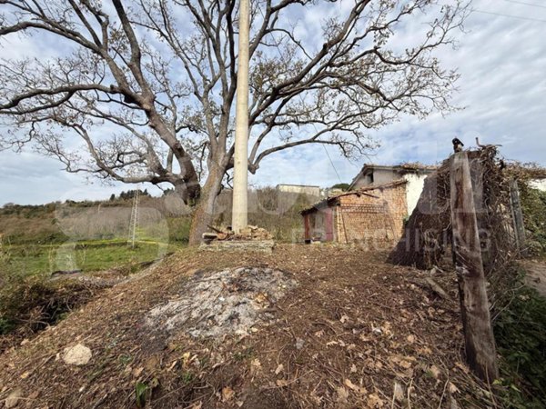 terreno agricolo in vendita a Pianopoli