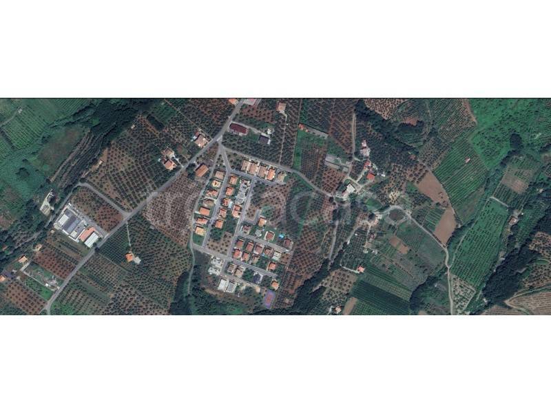 casa indipendente in vendita a Pianopoli