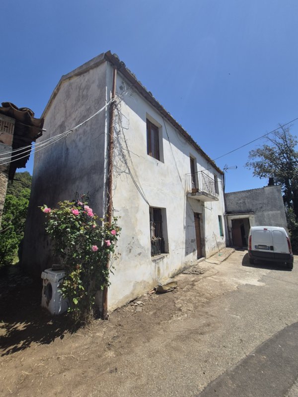 casa indipendente in vendita a Pianopoli