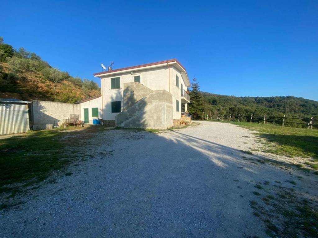 casa indipendente in vendita a Platania