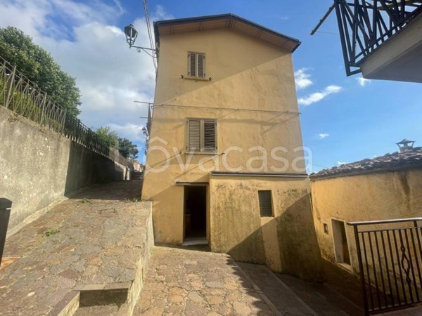 casa indipendente in vendita a Platania