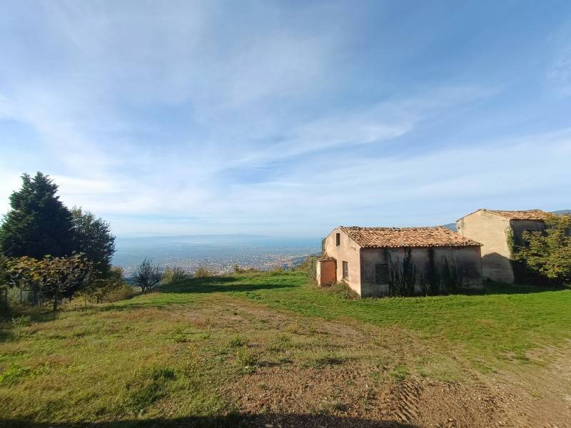 terreno agricolo in vendita a Platania