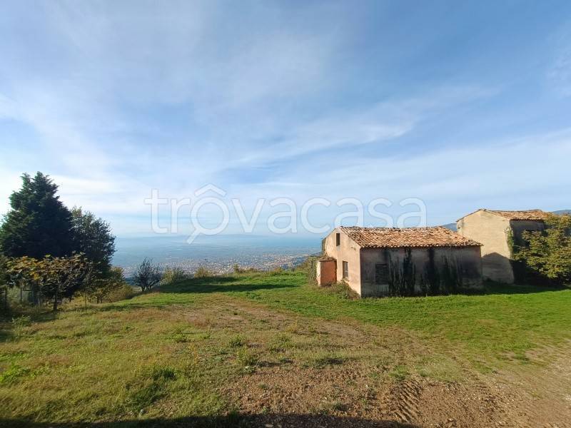 terreno agricolo in vendita a Platania