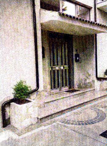 appartamento in vendita a Platania