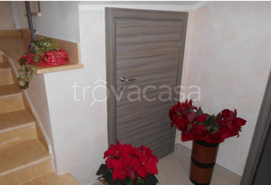 appartamento in vendita a Platania