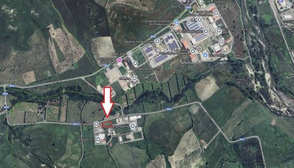 terreno agricolo in vendita a San Floro