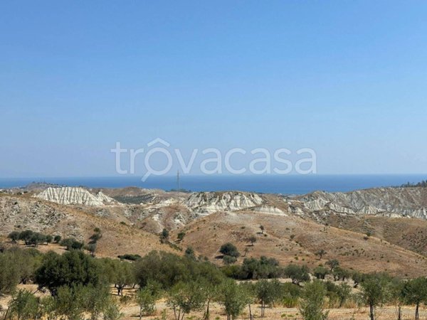 terreno agricolo in vendita a Santa Caterina dello Ionio
