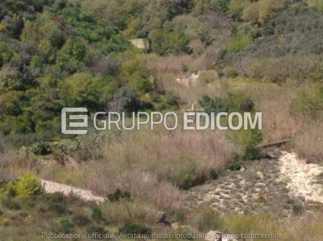 terreno agricolo in vendita a Santa Caterina dello Ionio