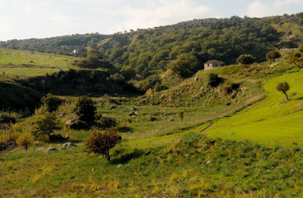 rudere in vendita a Santa Caterina dello Ionio