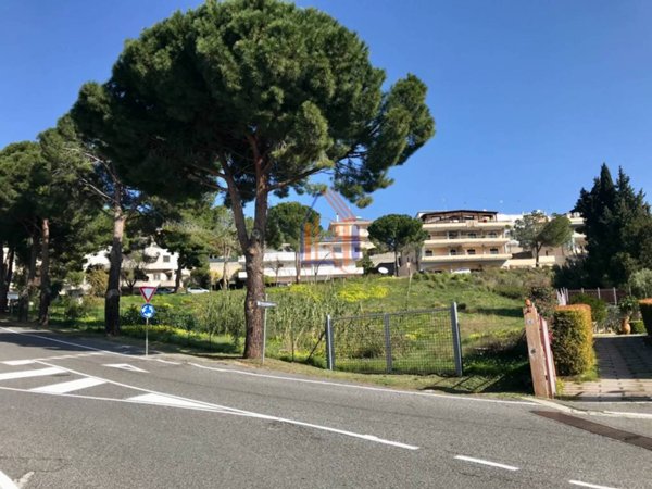 terreno agricolo in vendita a Satriano