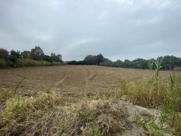 terreno agricolo in vendita a Satriano