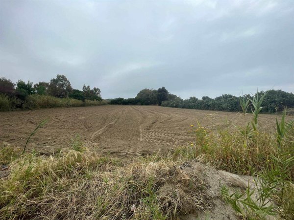 terreno agricolo in vendita a Satriano