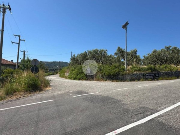 terreno agricolo in vendita a Satriano