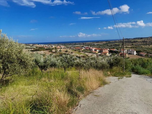 terreno agricolo in vendita a Satriano