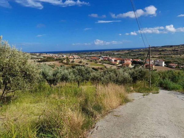 terreno agricolo in vendita a Satriano