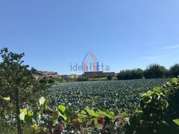 terreno agricolo in vendita a Satriano