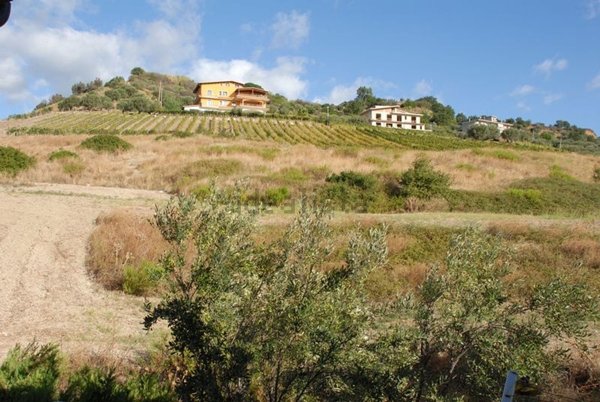 azienda agricola in vendita a Satriano