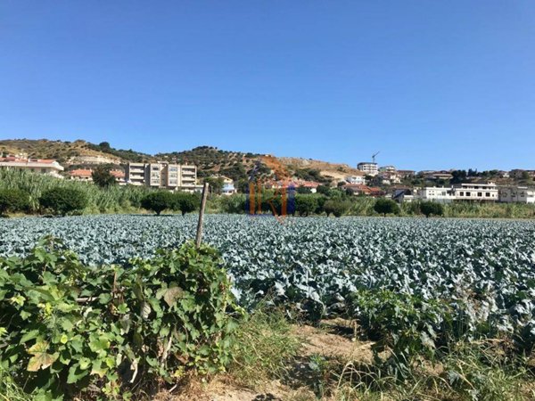 terreno agricolo in vendita a Satriano