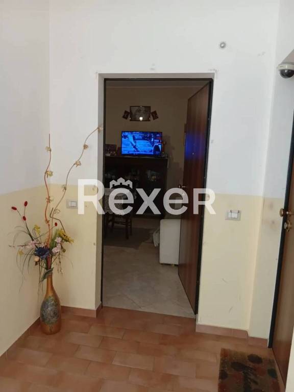appartamento in vendita a Satriano
