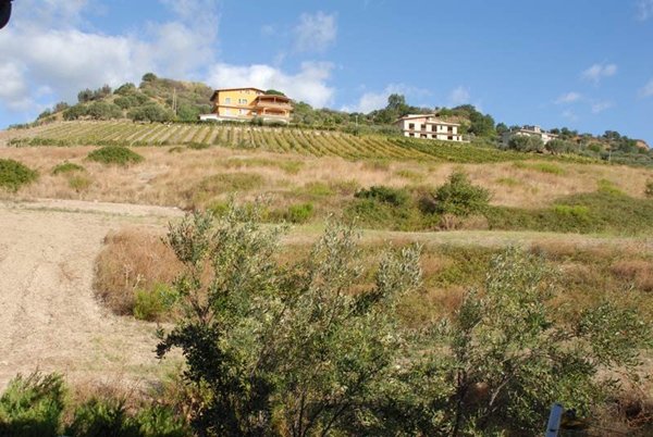 azienda agricola in vendita a Satriano