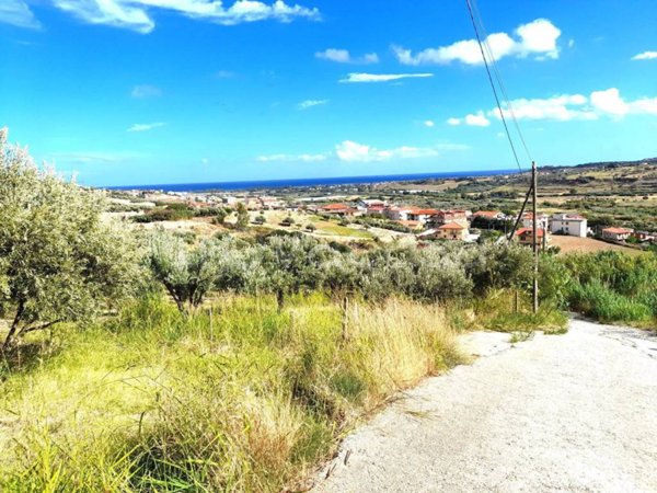 terreno agricolo in vendita a Satriano