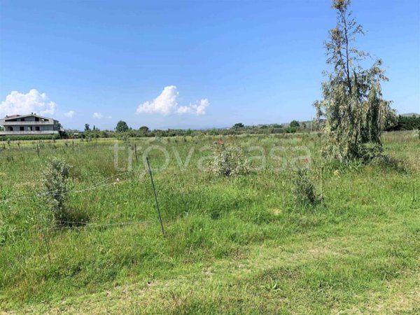 terreno agricolo in vendita a Sellia Marina