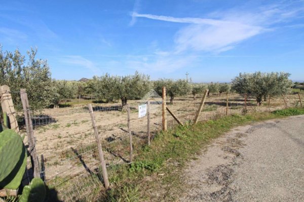 terreno edificabile in vendita a Sellia Marina